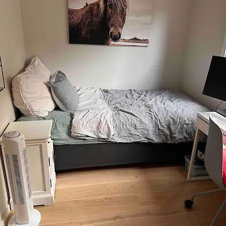 Nyoppfort Bolig 3 Min Fra Stavern Sentrum * Larvik