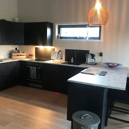 וילה Nyoppfort Bolig 3 Min Fra Stavern Sentrum *